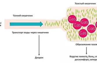 Обзор FODMAP диеты