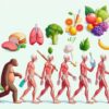 🌿 Эволюция человеческого питания: от всеядности к бретарианизму